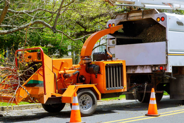 Best Leaf Removal  in Baldn, WI